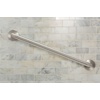 image:imageMoen Home Care Bathroom Safety 24 Inch Stainless Steel Handicap Grab Bar for Bathtub and Shower Heavy Duty Handle Elderly Assistance Product with Concealed Screws 8724Inoxidable