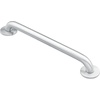 image:imageMoen Home Care Bathroom Safety 24 Inch Stainless Steel Handicap Grab Bar for Bathtub and Shower Heavy Duty Handle Elderly Assistance Product with Concealed Screws 8724Stainless