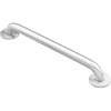 image:imageMoen Home Care Bathroom Safety 24 Inch Stainless Steel Handicap Grab Bar for Bathtub and Shower Heavy Duty Handle Elderly Assistance Product with Concealed Screws 8724Silver
