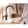 image:imageMoen 7622BL CIA Pulldown Kitchen Faucet with Power Boost Includes Optional Chrome and Brushed Gold Accents Matte Black withMatte Black