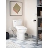 image:imageMoen EB2100E 5Series Elongated Bidet SeatEB1500  Elongated