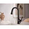 image:imageMoen Kurv Collection Chrome OneHandle Pulldown Bar Faucet with Power Clean Featuring Reflex 6126Matte Black