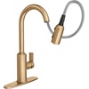 image:imageMoen Meena One Handle Kitchen Faucet with Pull Down Sprayer High Arc Kitchen Sink Faucet Featuring Reflex System and Duralock Quick Connect Spot Resist Stainless 87270SRSBronzed Gold