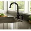 image:imageMoen Noell 1Handle Kitchen Faucet with Side Sprayer 87506BRB