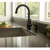 image:imageMoen Noell 1Handle Kitchen Faucet with Side Sprayer 87506BRB