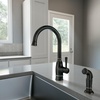 image:imageMoen Noell 1Handle Kitchen Faucet with Side Sprayer 87506BRB