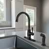 image:imageMoen Noell 1Handle Kitchen Faucet with Side Sprayer 87506BRB