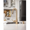 image:imageMoen Nolia Chrome OneHandle PreRinse Spring Kitchen Faucet with Pull Down Sprayer Single Hole Kitchen Sink Faucet with Soap Dispenser 87886Bronzed Gold