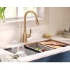 image:imageMoen Nolia Chrome OneHandle PreRinse Spring Kitchen Faucet with Pull Down Sprayer Single Hole Kitchen Sink Faucet with Soap Dispenser 87886Bronzed Gold
