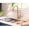 image:imageMoen Nolia Chrome OneHandle PreRinse Spring Kitchen Faucet with Pull Down Sprayer Single Hole Kitchen Sink Faucet with Soap Dispenser 87886Bronzed Gold