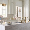 image:imageMoen S664 Traditional Wall Mount Swing Arm Folding Pot Filler Kitchen Faucet ChromeBrushed Gold