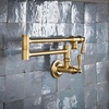 image:imageMoen S664 Traditional Wall Mount Swing Arm Folding Pot Filler Kitchen Faucet ChromeBrushed Gold