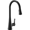 image:imageMoen Sinema Matte Black 3in1 Water Filtration OneHandle Pulldown Kitchen Faucet FS7235BL with Moen F9800 Advanced Carbon Water Filtration SystemMatte Black