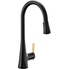 image:imageMoen Sinema Matte Black 3in1 Water Filtration OneHandle Pulldown Kitchen Faucet FS7235BL with Moen F9800 Advanced Carbon Water Filtration SystemMatte Black
