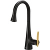 image:imageMoen Sinema Matte Black 3in1 Water Filtration OneHandle Pulldown Kitchen Faucet FS7235BL with Moen F9800 Advanced Carbon Water Filtration SystemMatte Black