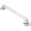 Polished Stainless