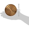 image:imageMoen 6399BG OneFunction 358 Diameter Round Spray Head Brushed GoldBrushed Gold