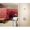 image:imageMoen Commercial Chrome MDura Vandal Resistant Showerhead 25 gpm 8290