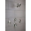 image:imageMoen TS1322BG Mosaic Mosaic Round SingleFunction Body Spray Valve Required Brushed GoldChrome
