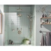image:imageMoen Waterhill Brushed Nickel 10Inch Wide Single Function Rain Showerhead with Immersion Rainshower Technology S112BNBrushed Nickel
