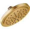 Brushed Gold