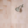 image:imageMoen 8Function Shower Head Wall Mount Showerhead with Adjustable Spray Settings Chrome 280W1Spot Resist Brushed Nickel