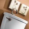 image:imageMoen YB2801BN Eva Brushed Nickel Toilet Tank LeverOil Rubbed Bronze